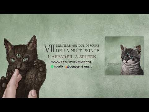 Video thumbnail for Lappareil � spleen