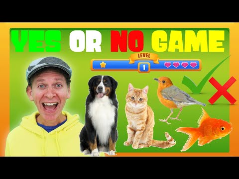Animals | Yes or No Game | Dream English Kids