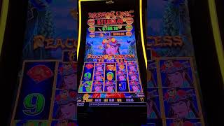 Peacock Princess Line Hit Pays Big! 💥 Dragon Link Win | TraySlots #slot #lasvegas #casino