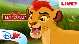 🔴 LIVE 24/7! The Lion Guard Season 1 Full Episodes Livestream 🦁📺 | Disney Jr.