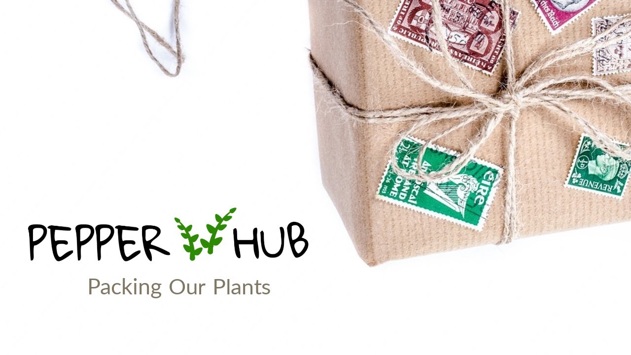 Packed with Love | PepperHub