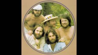 Beach Boys – “Peggy Sue” (Brother/Reprise) 1978
