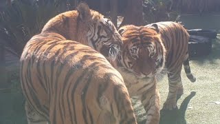 I feel so lucky......