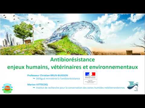 , title : 'Antibiorésistance, enjeux humains, vétérinaires et environnementaux'