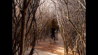 The Forked Forest Path, walk through at Fabrica Gallery (2021)
