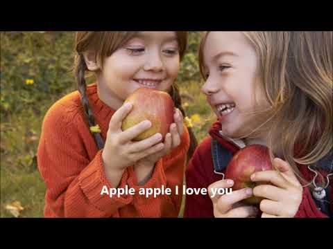 apple round apple red - tinnie lilies