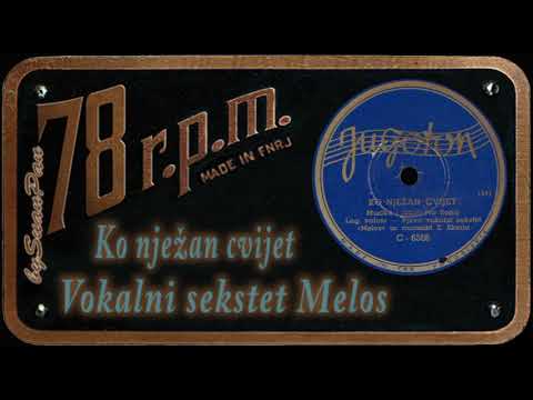 Vokalni sekstet Melos - Ko nježan cvijet