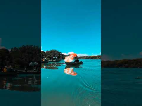 Rio Paraná - Paulicéia - SP pescaria #tucunare #pesca