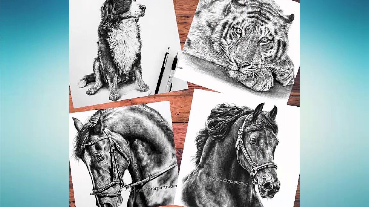 20 Amazing drawing Photo Skills Part 9-Top 20 Amazing Photos Drawing Tricks