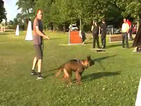 Daphne z Jukasu - protection - 7 months