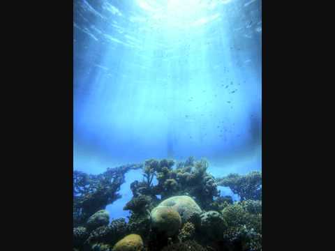 SEARCHING (ATJAZZ REMIX) - LITTLE BIG BEE