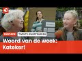 Het Twentse woord van de week: Kateker!