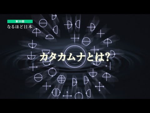 ヘテロゾステラについて詳しく解説