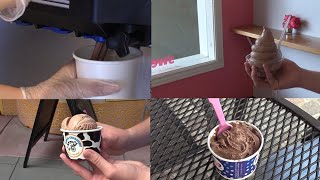 Best ice cream in Davis review