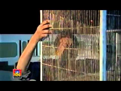 Dard Rukta Nahi Aik Pal B.. With Lyrics