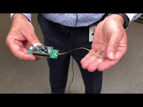 Wearable Wellness with Advanced Optical & Temperature Sensors