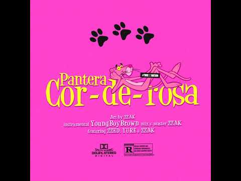 TwoZNation | "PANTERA COR DE ROSA" ft. Yure