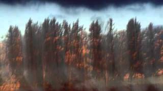 Du låg og skalv av angst....wmv