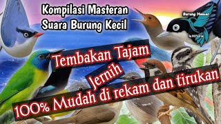 Download lagu Full 1 Jam Masteran Burung KECIL || Suara Tajam tembakan Rapat || Cocok untuk semua jenis Burung mp3 Download lagu Full 1 Jam Masteran Burung KECIL || Suara Tajam tembakan Rapat || Cocok untuk semua jenis Burung mp3