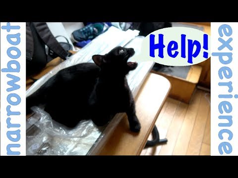 Renovating a canal narrowboat bathroom | Part 3 | Installing shower screen