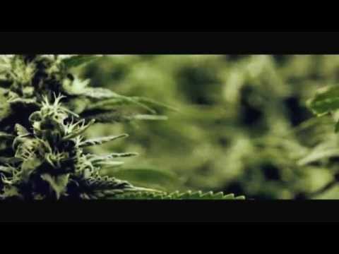 04. HADOEM - NATURALNIE [WOKALE NA LOOPACH EP 2015] VIDEO MASH UP