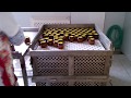 Automatic Glass Jar Filling Capping Line Machine For Fruit Chunks Vegetable Pickles