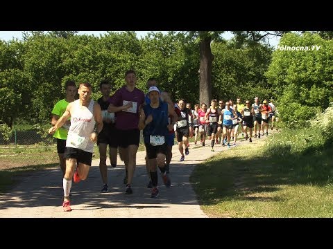 VI Wojewódzki Bieg Żuławski brzegiem Motławy