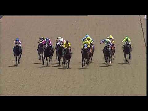 Arctic Princess - Maiden Win - Hollywoodbets Greyville - 1400m Maiden Plate (F&M)