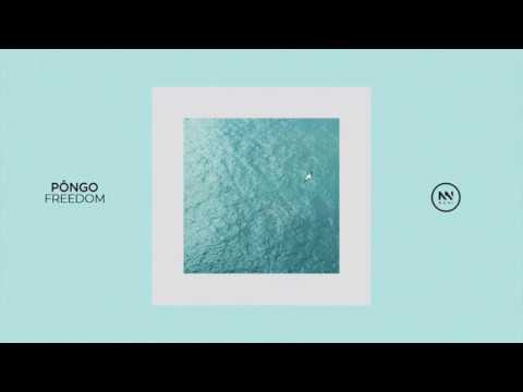 PONGO - Freedom