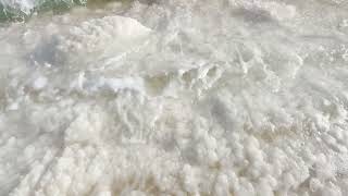 17 - Wendells Wanderings - Jordan 2022 - Dead Sea Shore