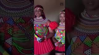 Download lagu Zulu Queens 👑 | #ProudlySouthAfrican #AfricanQueen #Culture #Indigenous #ShortVideo mp3