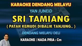 Download lagu Sri Tamiang karaoke melayu deli nada pria Cm versi Yan Juneid - cha cha dangdut melayu mp3
