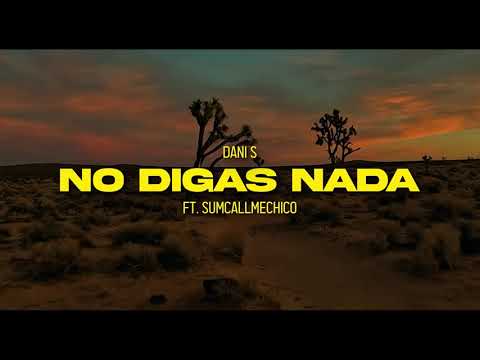 Dani S - No Digas Nada FT. SumCallMeChico (Visualizer)