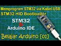 Belajar STM32 Arduino IDE 01 Upload Sketch Instal HID Bootloader Via STlink Dan USB TTL
