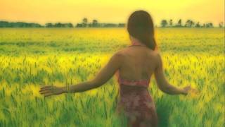 Hammock - I Can Almost See You (ZiD Remix)