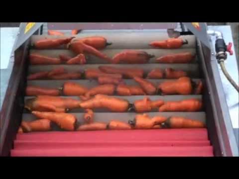 Kartoffelwaschmaschine/Bürstenwaschmaschine - Mix Fördertechnik -