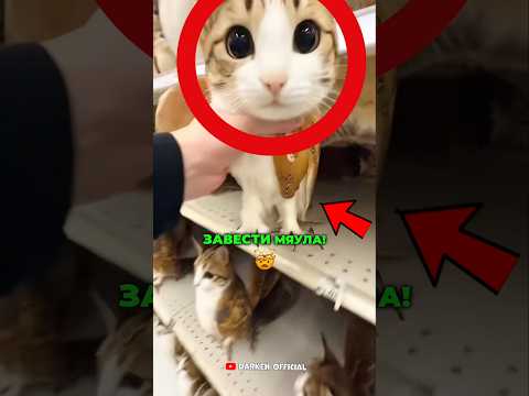 😳❤️‍🔥 Выбери Необычного Питомца На Всю Жизнь ! #shorts