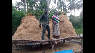 Liberian Feed Yourself Agriculture Initiative LIFA
