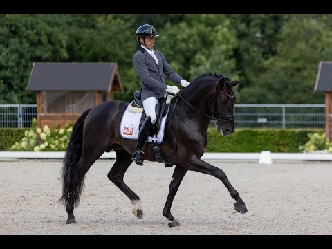 Guillermo García Ayala y Verso de Susaeta en la Small Final de 5 años (74.600%).