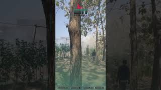 Download lagu Pembersihan Lahan di lahan Selokaton,Gondangrejo,Karanganyar...    #perumahan #pembersihan mp3