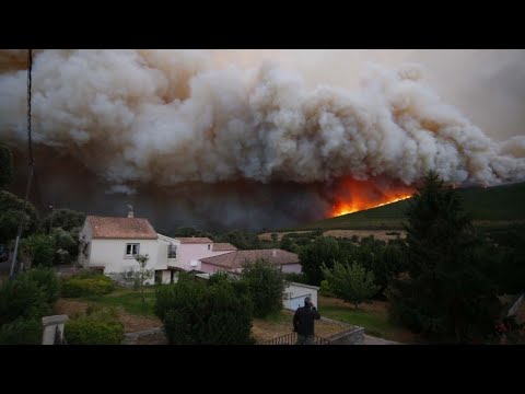 Incendies criminels : qui sont les pyromanes de l'été ?