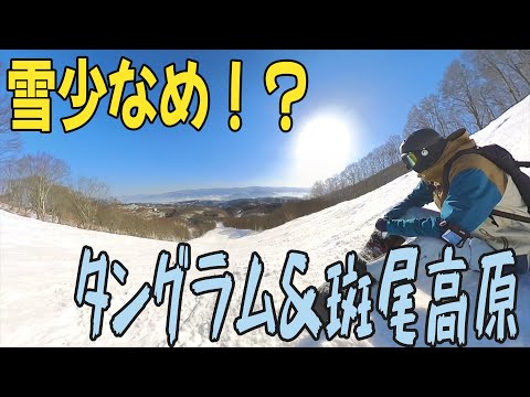 Video: 雪少なめ！？タングラム＆斑尾高原