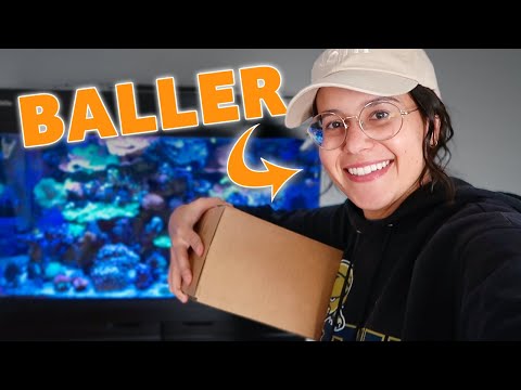 I Bought HIGH-END Corals off eBay