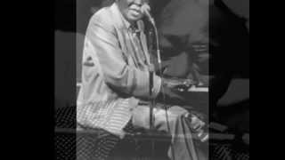 Memphis Slim-Every Day I Have The Blues