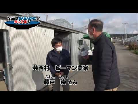 リサイクルされた物から作られたプランター: ポケットにゼロユーロを入れて庭を飾り、古いアイテムに第二の命を吹き込むための 10 以上の DIY アイデア  庭園