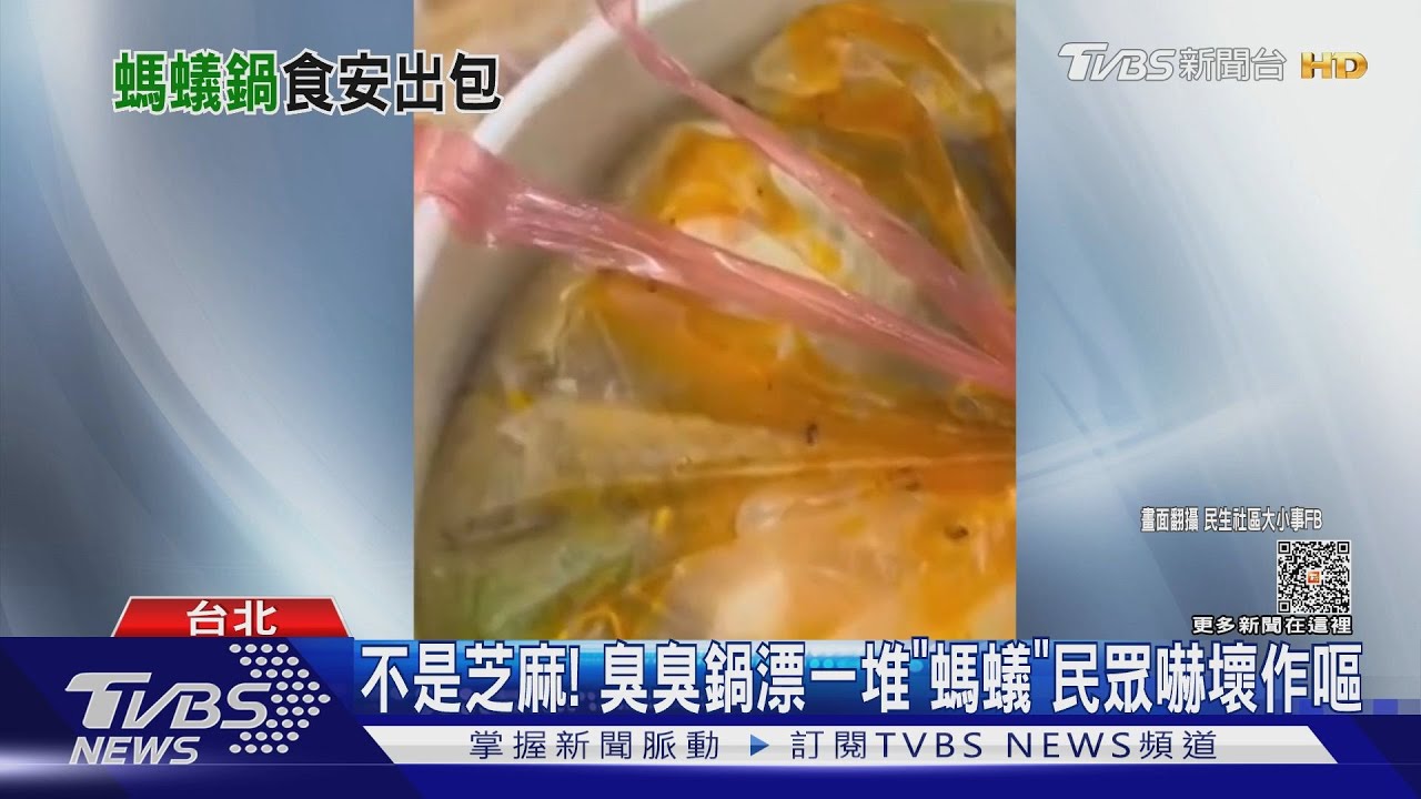 不是芝麻！　臭臭鍋漂一堆「螞蟻」民眾嚇壞作嘔