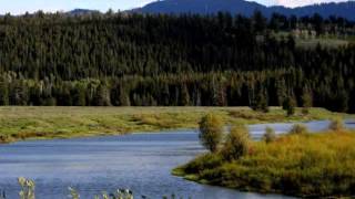 Rockin Chair Money--Hank Williams SR.