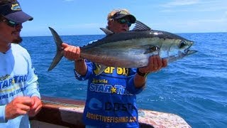 preview picture of video 'BLACKFIN TUNA on fly in Key West'