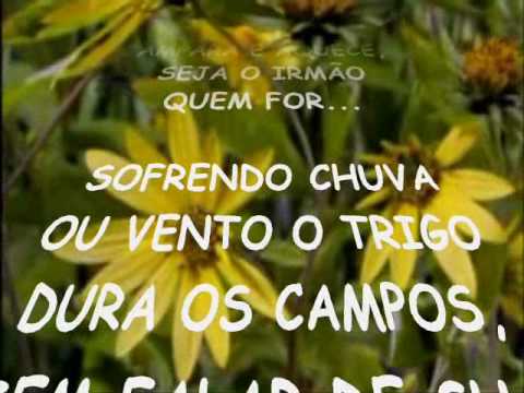 Cantiga Da Paz video