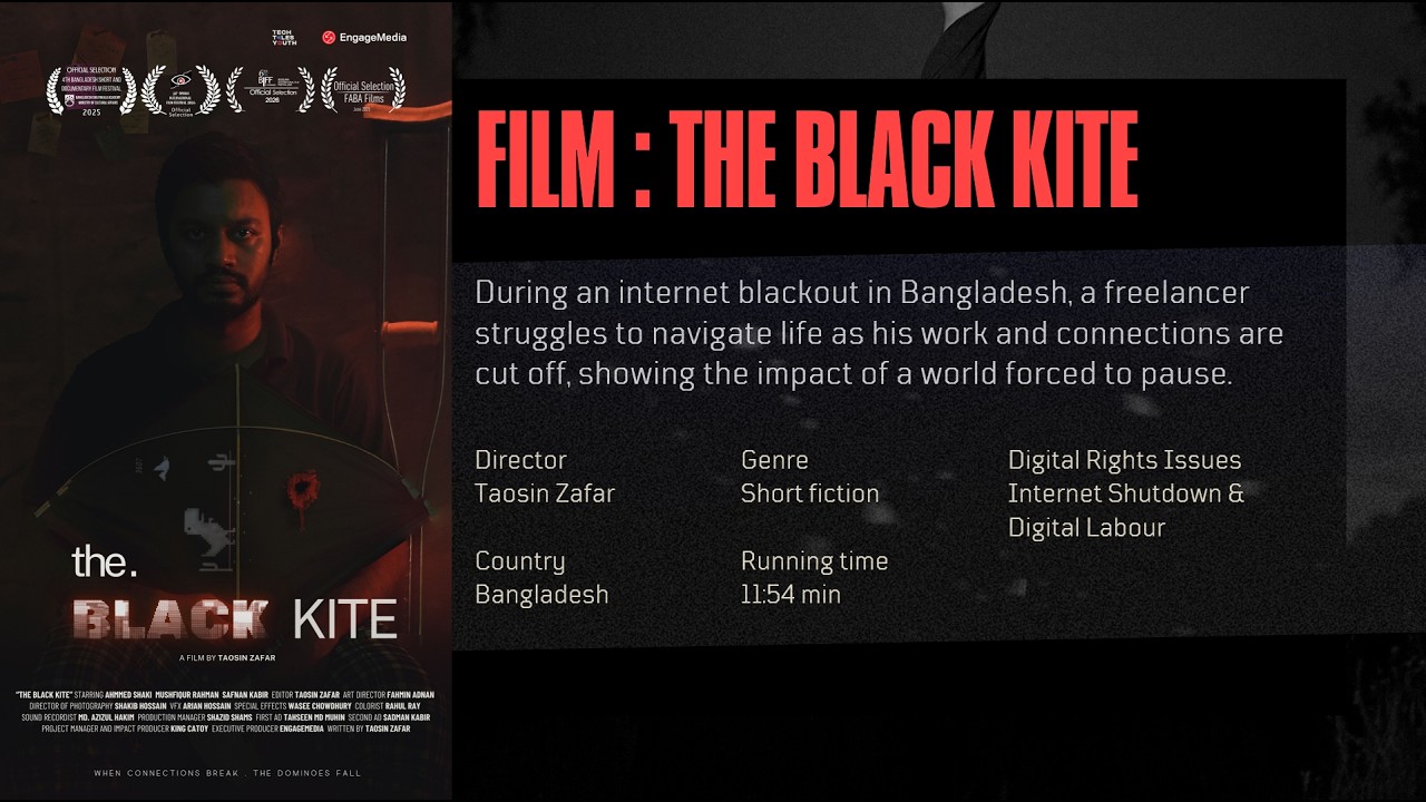 The Black Kite